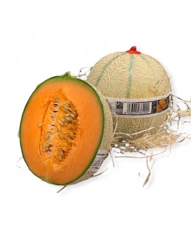 Melone Extra Lorenzini