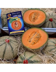 Melone Extra Lorenzini 2