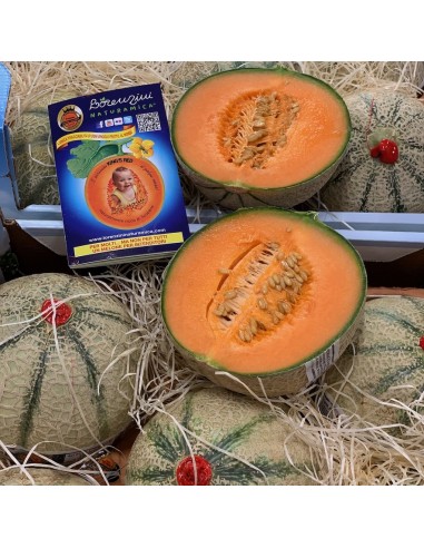 Melone Extra Lorenzini
