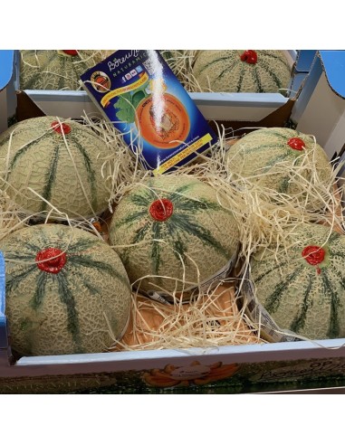 Melone Extra Lorenzini