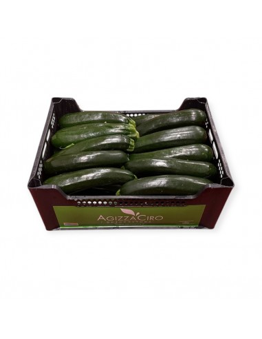 Zucchine Medie