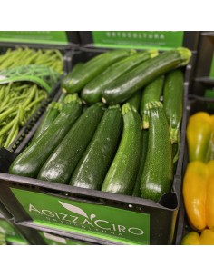 Zucchine Grosse 2