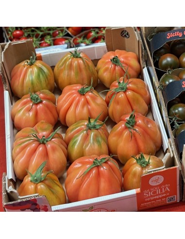Pomodori Cuore di Bue Nostrani