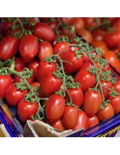 Pomodori Piccadilli 2