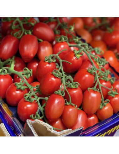 Pomodori Piccadilly