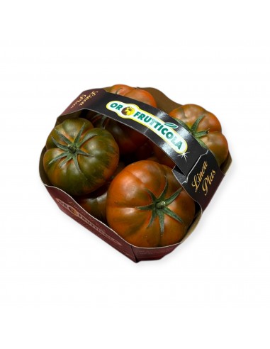Pomodori Marinda