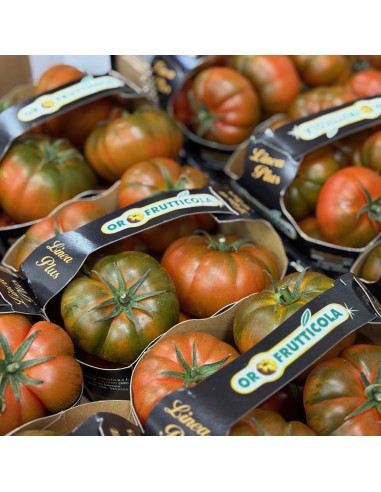 Pomodori Marinda