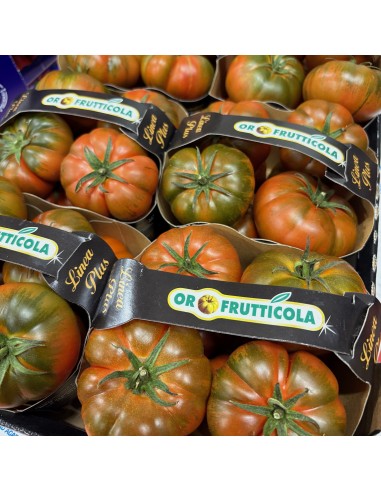 Pomodori Marinda