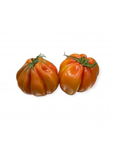 Pomodori Cuore di Bue Nostrani