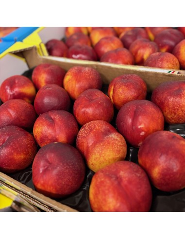 Nettarine Gialle Extra Sicilia Cassetta
