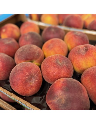 Pesche Gialle Extra Sicilia Cassetta