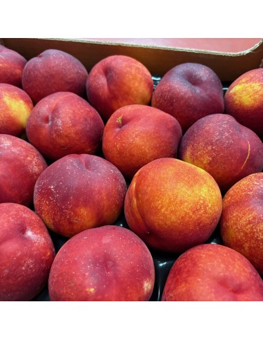 Nettarine Gialle Medie Sicilia