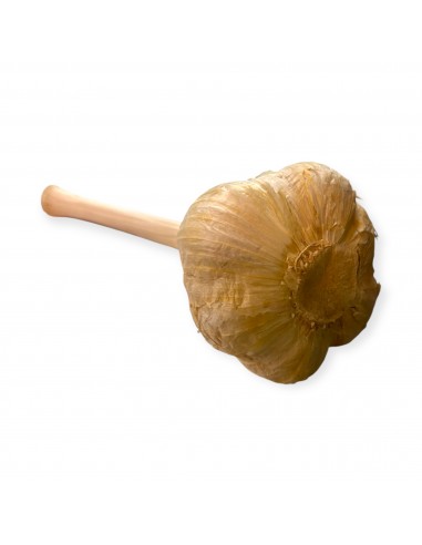 Aglione