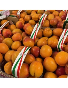 Albicocche Extra 2