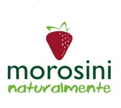 Morosini