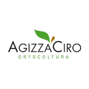 Agizza Ciro
